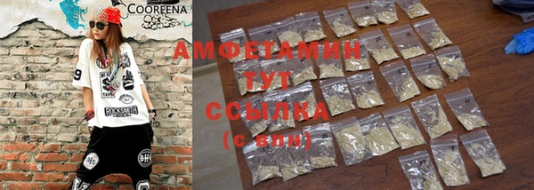 дмт Сатка