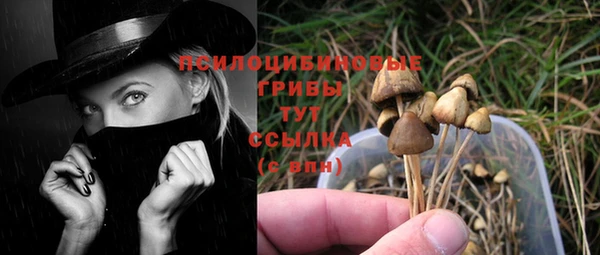 круглые Саяногорск