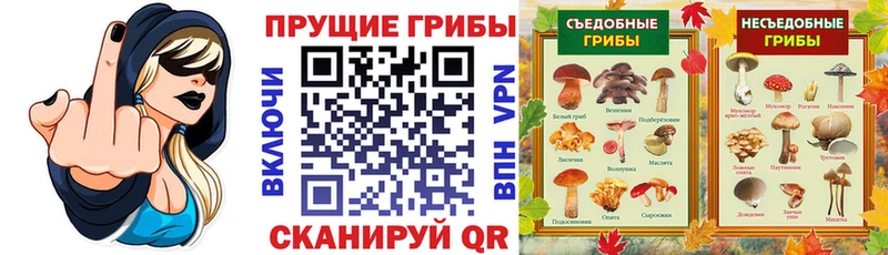 что такое наркотик  Алапаевск  Псилоцибиновые грибы мухоморы 