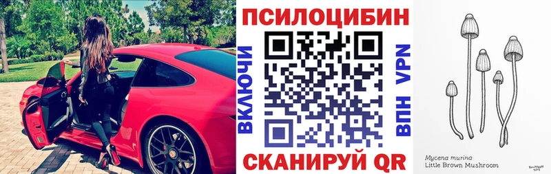 Галлюциногенные грибы Psilocybine cubensis Алапаевск
